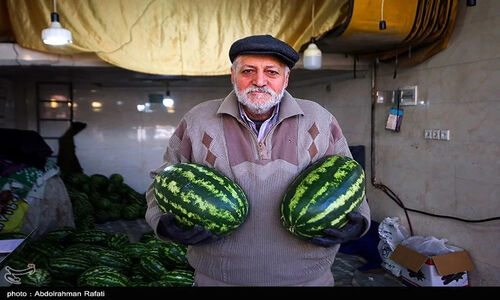 تشدید بازرسی‌های دوشیفته شب یلدا در خراسان شمالی با ۲۰ تیم تخصصی