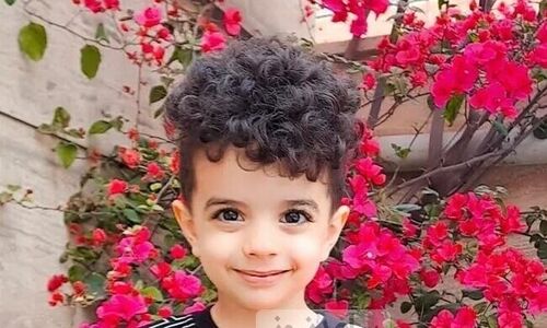 ویدئو/نگاهی به چیدمان منزل شاهانه و مجلل مهدیار کلائی «سالارِ پایتخت» / از مبلمان سلطنتی و مدرن و حیاط سرسبز شمال تا تابلوهای هنری و پرده‌های اعیانی+ تصاویر