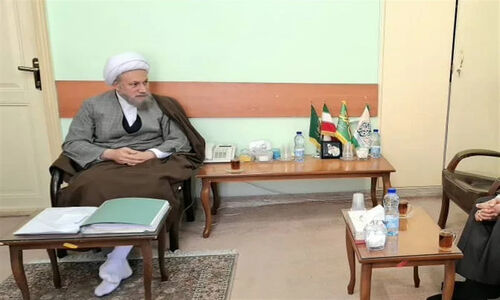 آیت‌الله دژکام: حمایت از تولیدکنندگان واقعی، ضربه نهایی به سودجویان است!