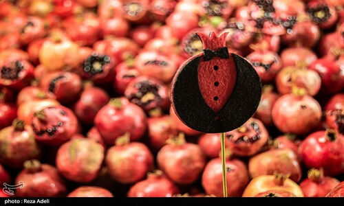 نمایشگاه‌های شب یلدا در شیراز با 130 غرفه پررونق آغاز به‌کار کرد!