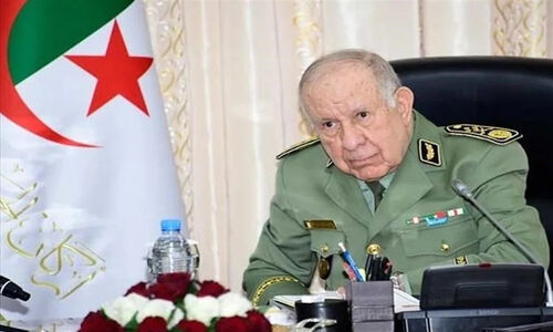 وزارت دفاع الجزایر: شایعه تشکیل واحد مزدور در ساحل آفریقا، دروغی آشکار است!