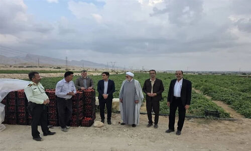 رکوردشکنی صادرات محصولات کشاورزی جنوب بوشهر؛ کشاورزان نفس راحتی کشیدند!