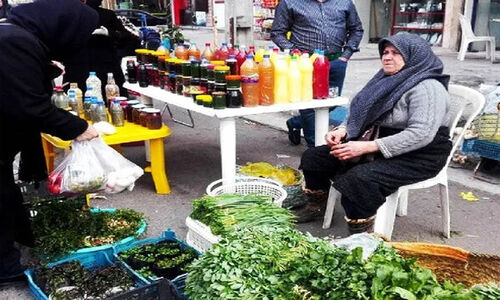 طلایی خبر داد: ۳ هزار روستا بازار جدید برای تحول کشاورزی ایران در راه است!