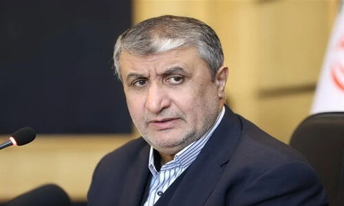 اسلامی خبر داد: 56 کشور به دنبال محصولات هسته‌ای ایرانی هستند!