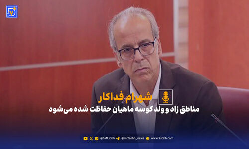 مناطق زاد و ولد کوسه‌ها به‌طور رسمی تحت حفاظت قرار می‌گیرند؛ آیا صید قاچاق پایان می‌یابد؟