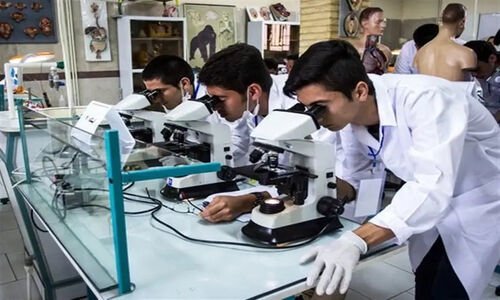 درخشش بی‌نظیر 167 دانش‌آموز قشمی در جشنواره علمی کشور؛ رتبه نخست برای چهارمین سال متوالی!