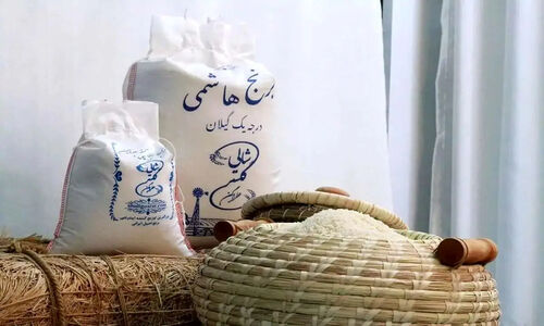 کارشناس صداوسیما: جو جایگزین برنج گران شود! واکنش های داغ کاربران در پی توصیه جنجالی