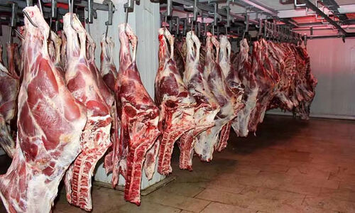 کشف حیرت‌انگیز ۳ تن گوشت الاغ در تهران؛ پشت پرده لیبل‌های جعلی گوشت گوساله!