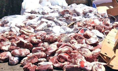 کشف حیرت‌انگیز ۳ تن گوشت الاغ در تهران؛ ماجرای لیبل‌های جعلی گوشت برزیلی فاش شد!