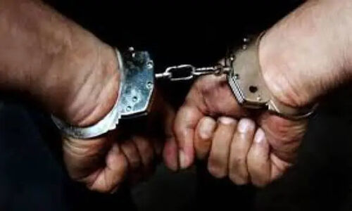 کشف فلزیاب خطرناک و بازداشت یک متخلف در سیرجان؛ جدیت در مقابله با قاچاق میراث فرهنگی