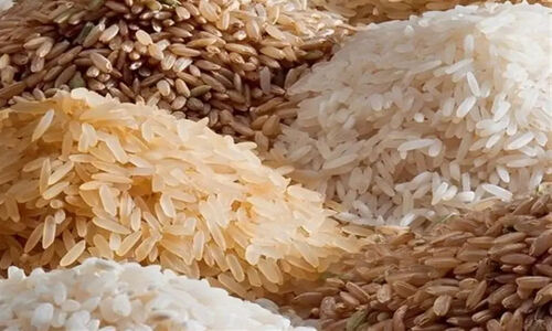 توزیع فوری 1800 تن برنج هندی در خراسان رضوی؛ برنج پاکستانی تا 2 هفته آینده در راه است!