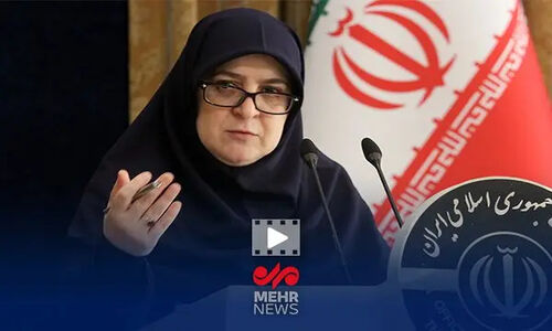 مهاجرانی هشدار داد: تامین گاز نیروگاه‌ها رمز جلوگیری از خاموشی گسترده صنایع!