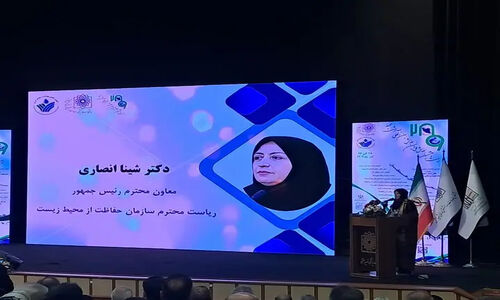 انصاری هشدار داد: تغییر اقلیم، بحران سلامت که نفس همه را در خطر می‌اندازد!