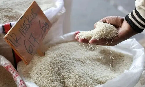 تزریق برنج دولتی به بازار ایلام؛ آیا قیمت‌ها سرانجام کنترل می‌شود؟
