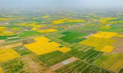 برای اولین بار در کشور؛ اسناد ۵۸۱۳ هکتار زمین دولتی خراسان شمالی به کشاورزان واقعی واگذار شد