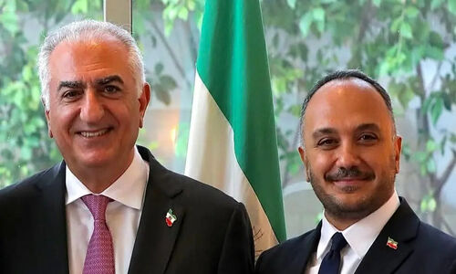 افشاگری تکان‌دهنده احسان کرمی درباره زبان مشترک توهین در میان سلطنت‌طلبان!