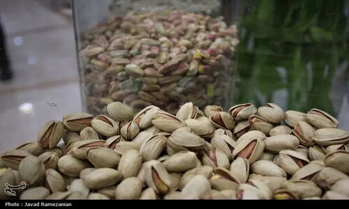 چطور فناوری هسته‌ای حشرات پسته را برای همیشه از بین می‌برد؟