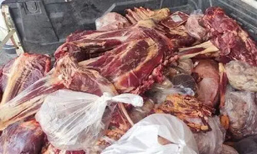 ضبط و معدوم سازی ۸۰ کیلوگرم فرآورده خام دامی غیر بهداشتی در رضوانشهر؛ سلامت شما در خطر بود!
