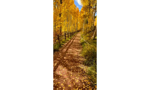فال و طالع‌بینی 28 آذر؛ پیش‌بینی‌های جالب و توصیه‌های ویژه امروز برای همه متولدین!