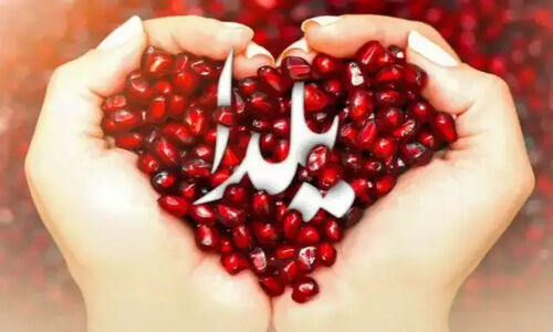 یلدا؛ شب جادویی که وفاق اجتماعی را به اوج می‌رساند