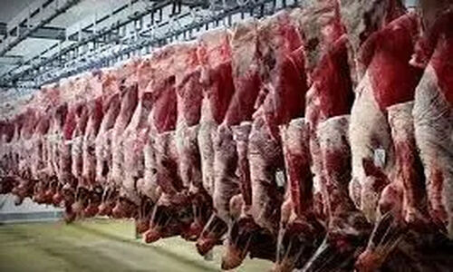 قیمت‌های جدید گوشت گوساله و گوسفندی در میادین تهران شوکه‌تان می‌کند!