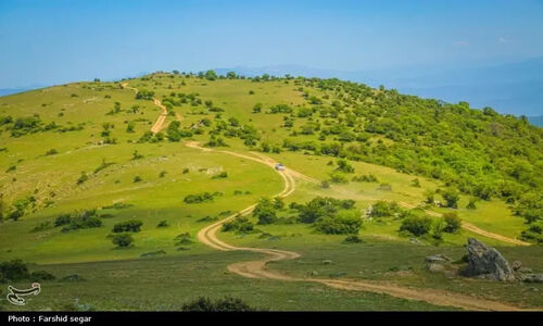کشت گیاهان دارویی در 6450 هکتار از مراتع کرمانشاه؛ اقدامی موثر برای احیای طبیعت و اقتصاد محلی