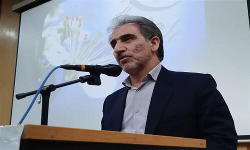 رکوردشکنی حیرت‌آور جوجه‌ریزی در ایلام؛ تولید گوشت مرغ ۳ برابر نیاز استان شد!