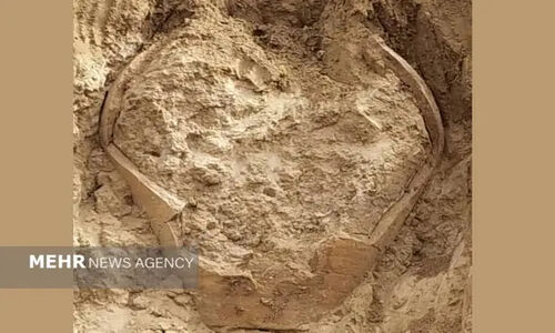 کشف کوزه تاریخی ساسانی در دشتستان پس از بارندگی‌های اخیر
