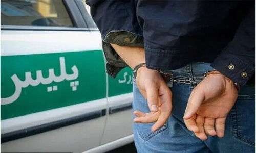 کشف ۲۲۰ فقره سرقت در دلیجان؛ پلیس چگونه امنیت را بازگرداند؟