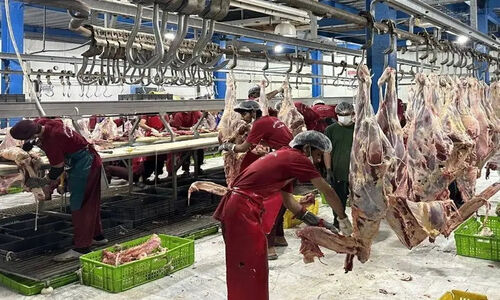 کردستان؛ سرزمین تولید اما سفره‌های گران مرغ و گوشت چرا پرخرج‌تر شد؟