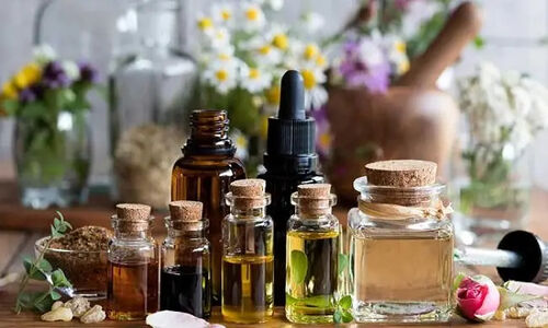 انقلاب در استخراج گیاهان دارویی با فناوری نانوامولسیون DIC؛ روشی سریع و دوستدار محیط زیست