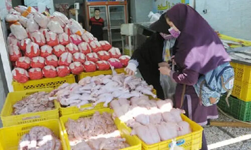 گرانی بی‌سابقه مرغ در کهگیلویه و بویراحمد؛ آیا مافیا بازار را در دست گرفته؟