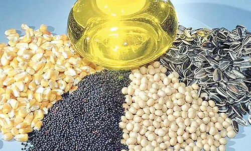 آغاز ثبت سفارش دانه‌های روغنی زمستانی؛ فرصتی حیاتی برای تأمین نهاده‌ها