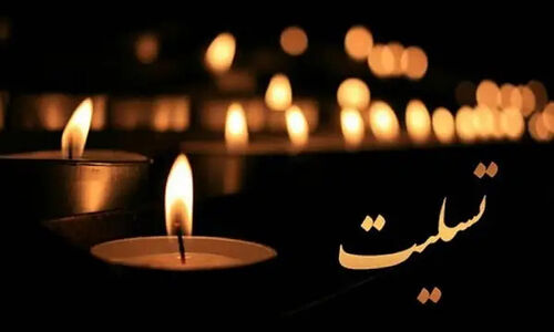 آیت‌الله دژکام در پیامی تأثرانگیز درگذشت امام‌جمعه موقت مرودشت را تسلیت گفت