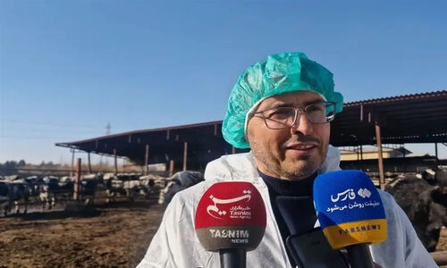 مهار تب برفکی در دامداری‌های اسلامشهر با تزریق 8 میلیون دز واکسن؛ تنها 930 رأس تلف شدند!