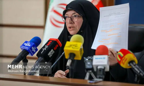 فرهمندپور: مرخصی زایمان ۹ماهه در راه تثبیت نهایی است!