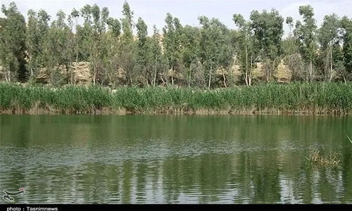 تالاب بیشه‌دالان در مسیر احیای شگفت‌انگیز؛ پرورش گاومیش و کشت گیاهان دارویی کلید موفقیت شد