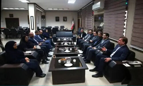 تشکیل ستاد ویژه مقابله با آفات نباتی در بوشهر؛ چالشی نو برای کشاورزان استان!
