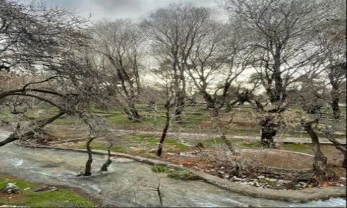 چشمه قدمگاه فارس با ۸ گونه ماهی نادر، ثبت اثر طبیعی ملی شد!