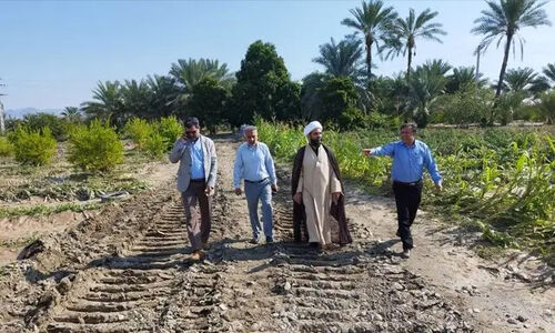 فرماندار رودان نسبت به سیلاب مهیب رودخانه آب‌نما هشدار داد؛ خطر فوری و جدی در کمین کشاورزی و منازل!