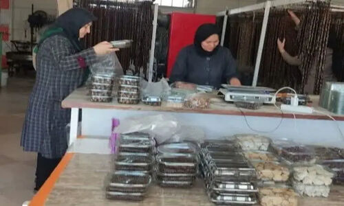 کارآفرینی از دل سنت؛ بانویی که اشتغال را به فرهنگ بومی گره زد