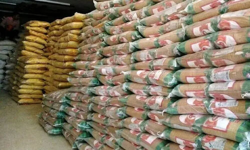 رفعتی: ۳۸ تن برنج  تنظیم بازار در شهرستان گناوه توزیع می شود