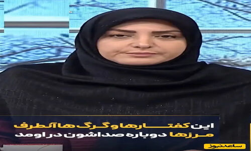 عصبانیت شدید المیرا شریفی مقدم از کفتارها و گرگ‌های آن طرف آبی/ اصلا به شما ربطی نداره،شما خیلی بیخود میکنی که …