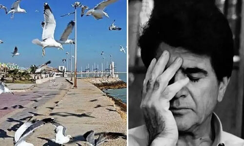 آواز بوشهری؛ محمدرضا شجریان تو حال هوای بوشهر یک نفس زد و هدر شد خوند