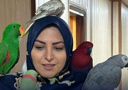 فیلم اجرای بسیار با شکوه المیرا شریفی مقدم در آنتن زنده صدا و سیما ایران : آقا شادش کن آهان …