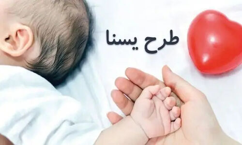 واریز یارانه حمایتی در مرحله دوم طرح ملی «یسنا»