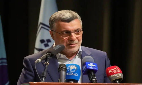 ظفرقندی: حذف ارز ترجیحی دارو در دستور کار دولت نیست