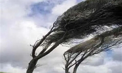 تندباد ۹۴ کیلومتری اردبیل را در نوردید