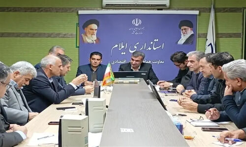 عرضه مستقیم 17 قلم کالای اساسی در ایلام