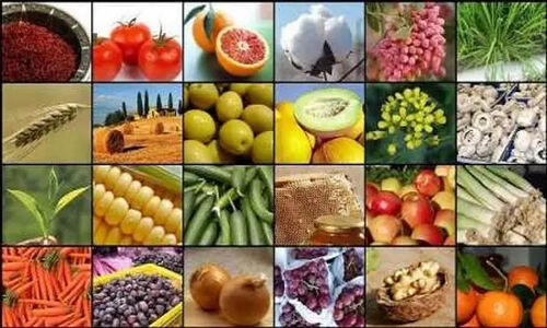 واحدهای صنفی دهلران برای خدمات رسانی به مردم همکاری کنند